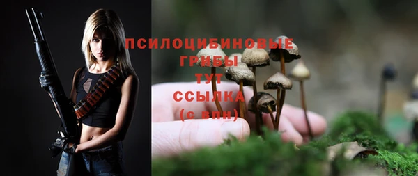 ГАЛЛЮЦИНОГЕННЫЕ ГРИБЫ Богородск