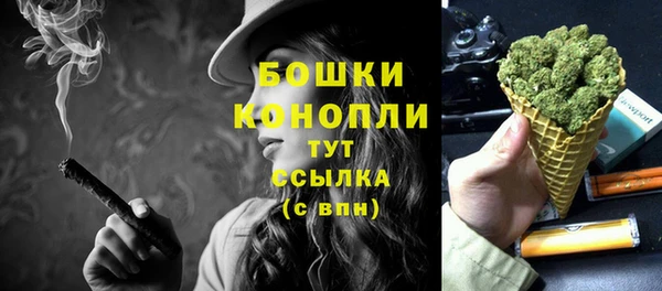 мдпв Апатиты