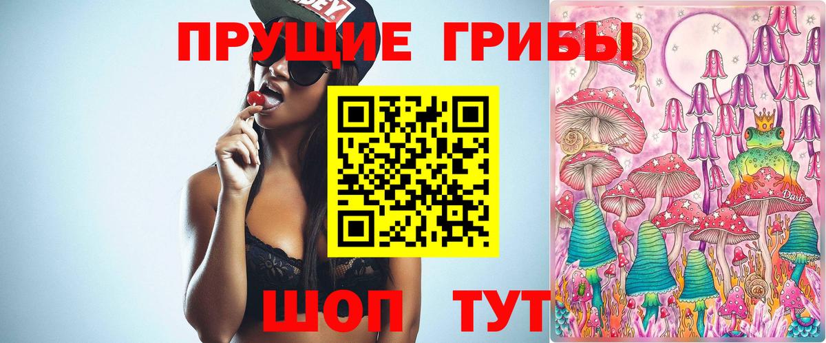 Галлюциногенные грибы Cubensis  Вход с VPN  Карасук 