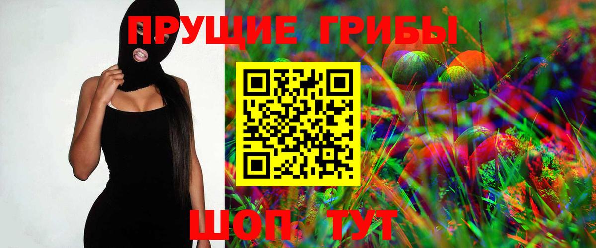 Псилоцибиновые грибы Psilocybe Карасук