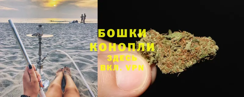 Бошки марихуана THC 21%  Карасук 